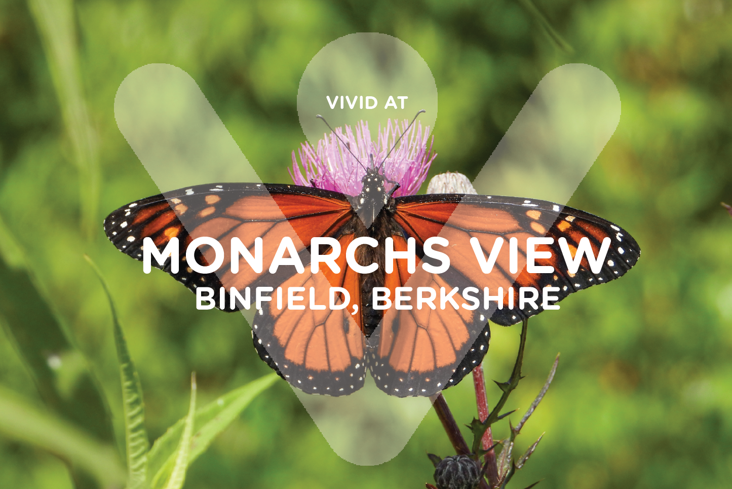 Monarchs View logo